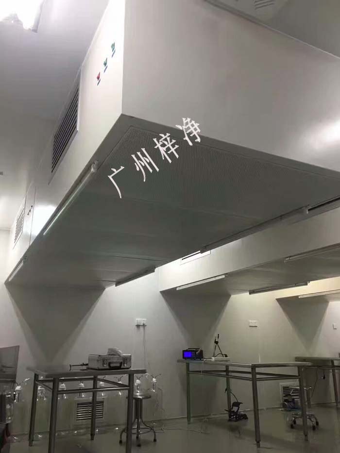 吊頂式層流罩現(xiàn)場安裝檢測 吊頂式層流罩現(xiàn)場安裝檢測